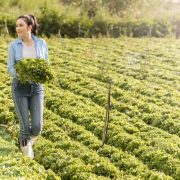 Lý Nhã Kỳ mướt mồ hôi vẫn xinh đẹp rạng ngời trong vườn rau
