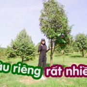 Trà Ngọc Hằng hé lộ “tài sản” quý giá trong Vlog mới