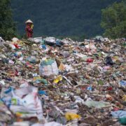 WWF-Việt Nam kêu gọi giảm thiểu rác thải nhựa là việc cần làm ngay